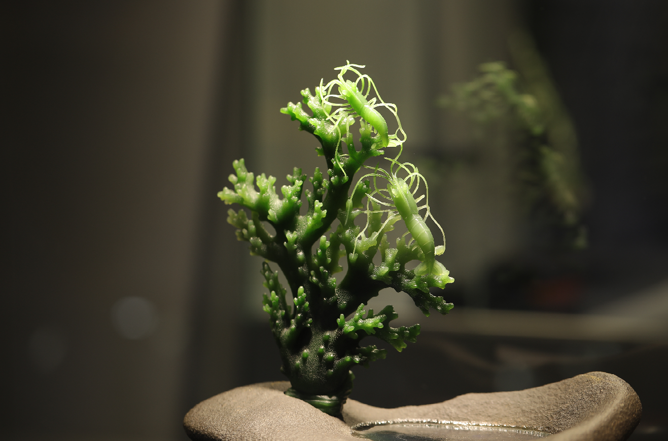 雕刻|籽料原石与雕刻后的籽料，哪个更具体有收藏价值