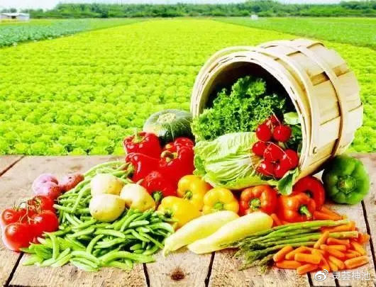 灵荟神池 做农业品牌，要常“照镜子”“正衣冠”