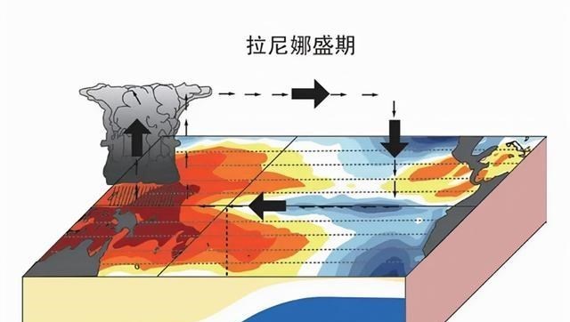 寒潮袭击!为何今年的天气特别的冷?背后有什么原因吗?