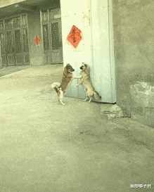 教练 “教练说他的学员，都是一次过，看到现场我信了！”哈哈哈