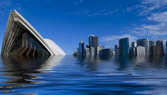 科学家:种种迹象表明,地球可能正在进入第六次生物大灭绝