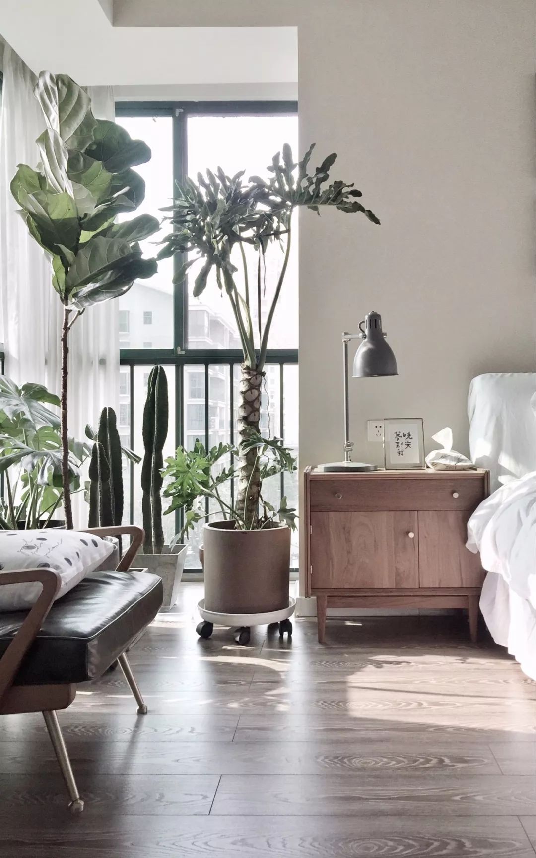 八老师给力设计：森系风格室内装修合集，清新绿植点缀新家！