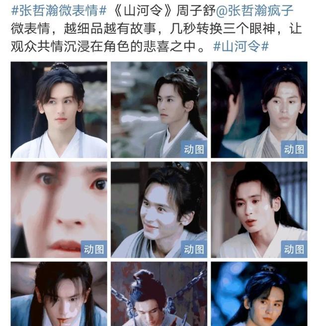 张哲瀚|小八卦，刘诗诗倪妮，张哲瀚，利路修，阚清子，白敬亭