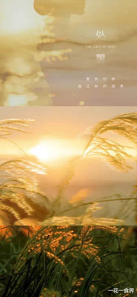 一花一食界|处暑写词牌之——《谒金门》