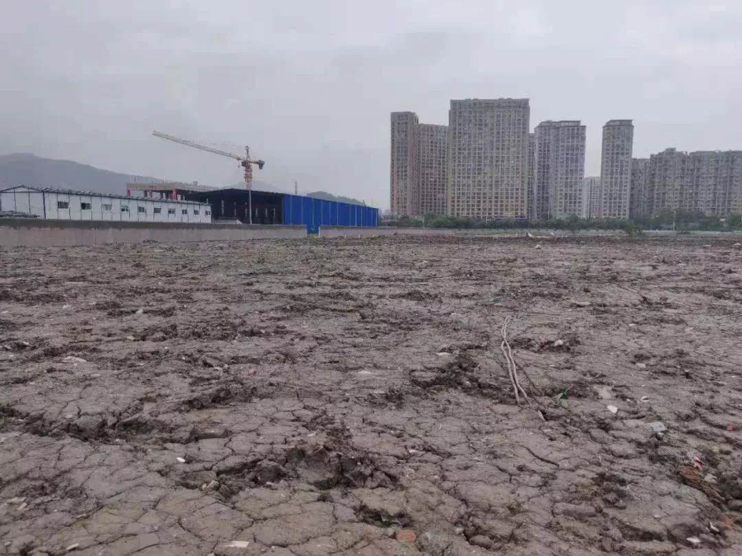温州|温州土地市场降温！今天市区4宗地块挂牌出让，结果