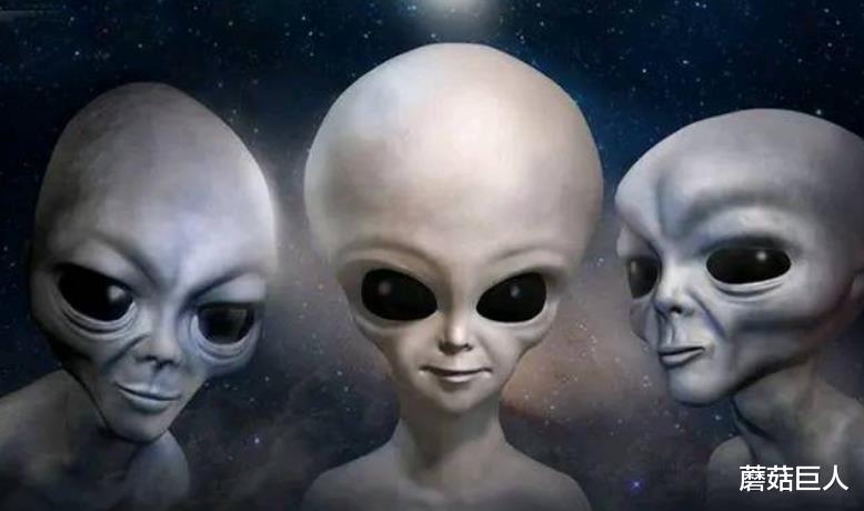 蘑菇巨人|与外星人撕破脸，在强大的实力的面前，进退两难的山姆大叔