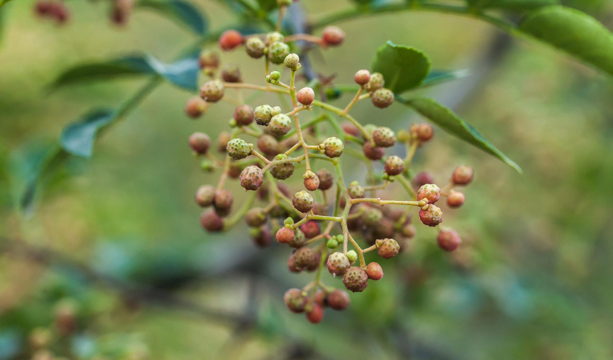 癫痫病|八月立秋：开始进入阳衰阴盛，接下来的90天，顺应天时驱寒补阳