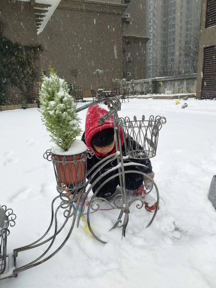 为这300㎡露台花园，毫不犹豫买了这房子，在城市屋顶过上田园生活