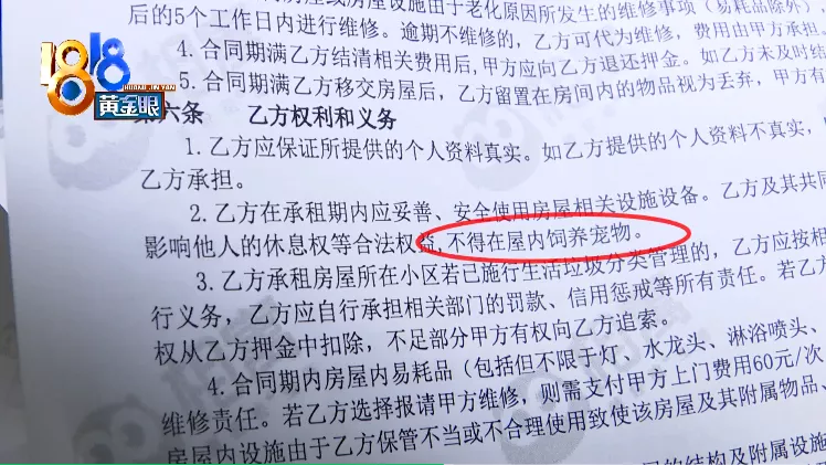 购房置业|租客被鼠咬嘴巴 中介提到一只猫