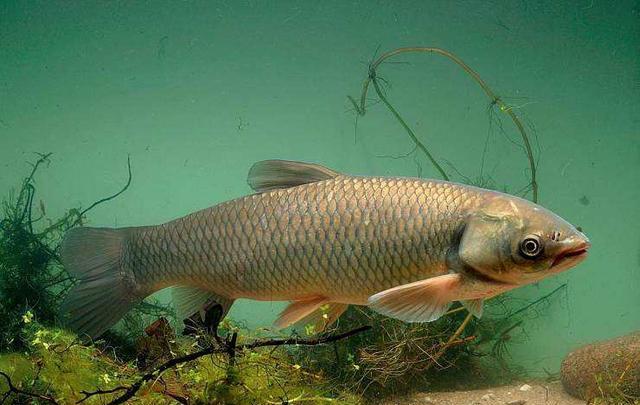 |钓位有多重要?关于钓位,你需要了解的一些事实