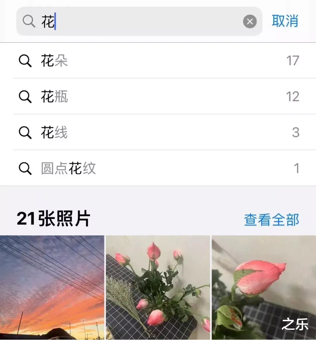 iPhone|iPhone相册隐藏的小功能，来看看