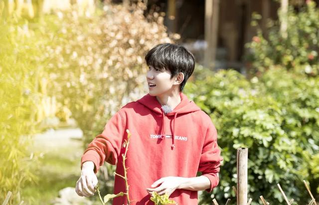 张柏芝|小八卦,王源,白敬亭,章若楠,周深