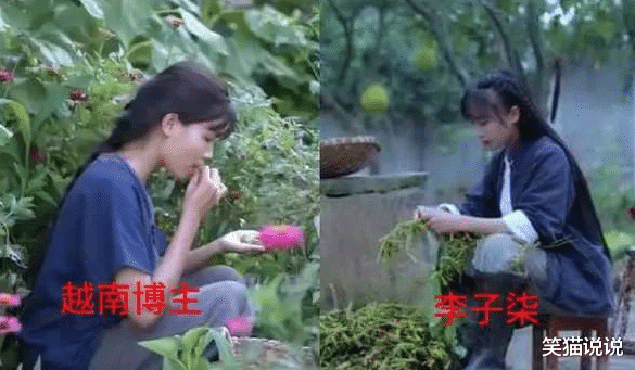 劣迹艺人|越南MV再现抄袭：服化道抄《东宫》，曲子抄《凉凉》！被网友批四不像！