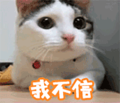 桉月|表情包：心情乱七芭蕉的