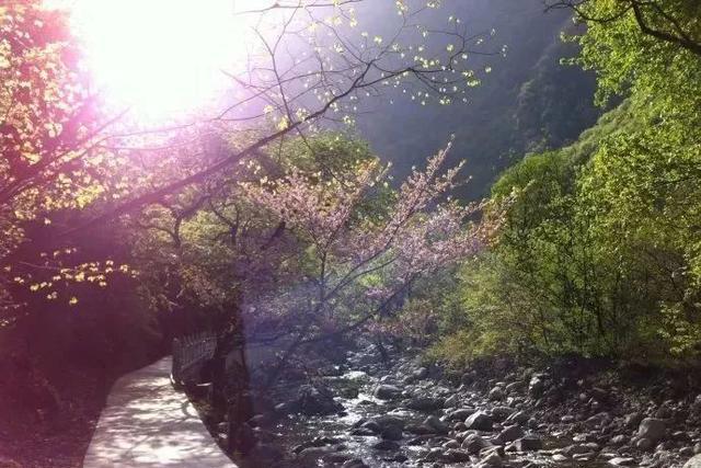 材悟星 不必远行，这里也有你心仪的动人风景