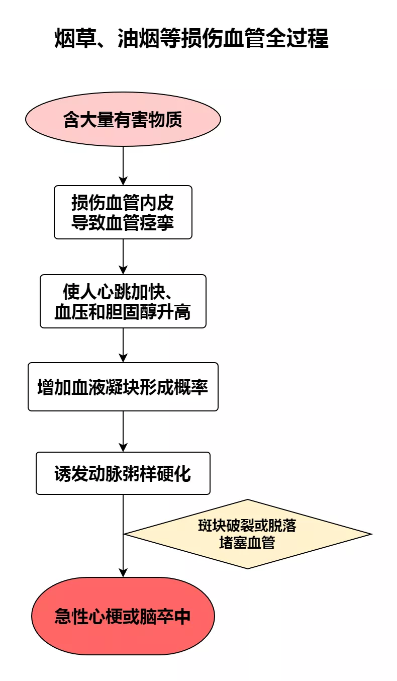 厨房油烟不只伤肺，也让血管跟着悄悄变「硬」