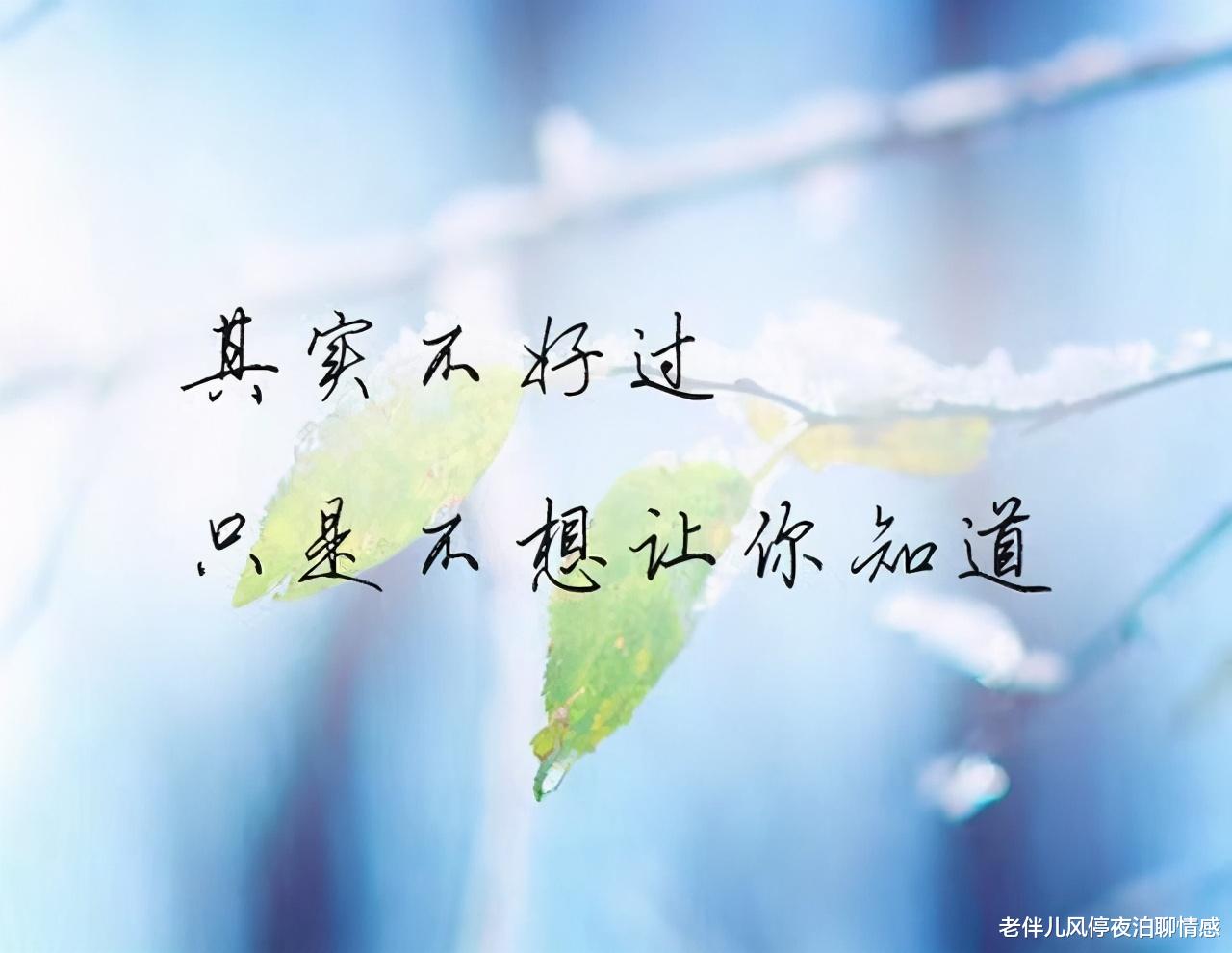 老伴儿风停夜泊聊情感|七夕，致深爱过的人：谢谢你，出现在我的生命里