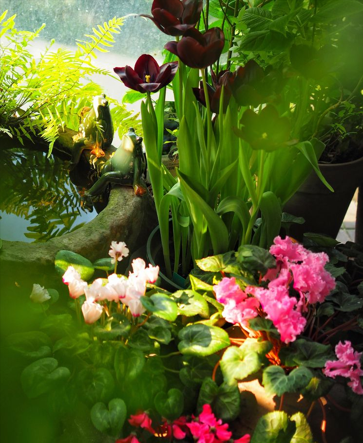 7㎡小阳台，改造成19楼的空中小花园，天天宅在家不想出门了