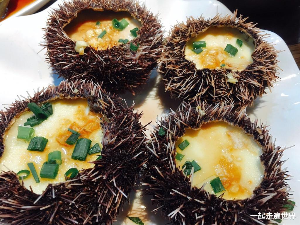 三亚 三亚海胆事件,真相水落石出,结果:意料之中