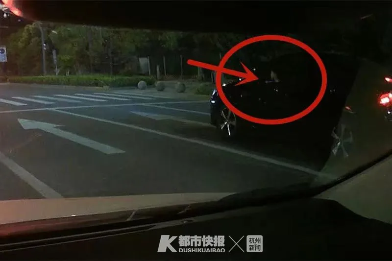 半岛晨报 驾驶室探出一个小孩的头！司机淡定说：孩子出生后一直抱着开车