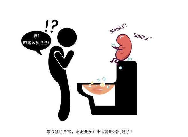 漫说健康|肾脏出现异常，往往身体会有“1黑、2少、3多”症状，最好排查