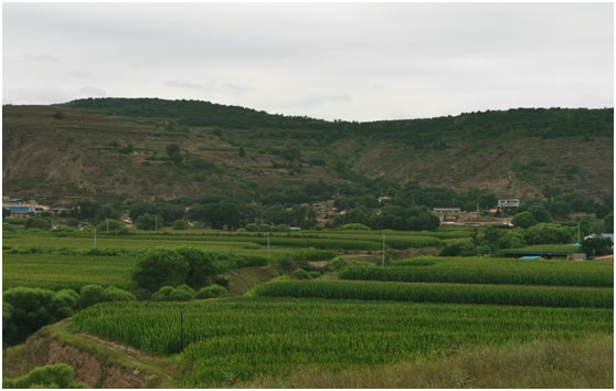 陪读时间|难忘悠江小学：我的小学早被拆除了，尽管它破旧穷酸，可怀念依旧