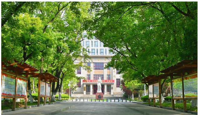 情窦初开的青春|山东双一流建设：放着山师山农不扶持，反而扶持临大曲师进双一流