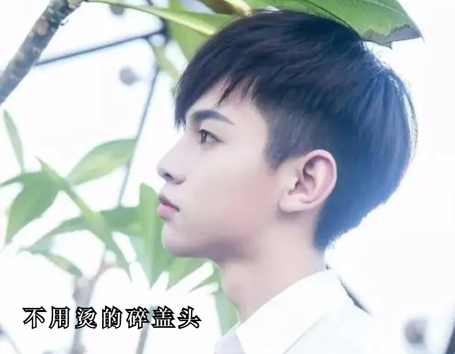 发型|谁说“碎盖”发型不烫不好看？这六款碎盖发型，不用烫也很帅气