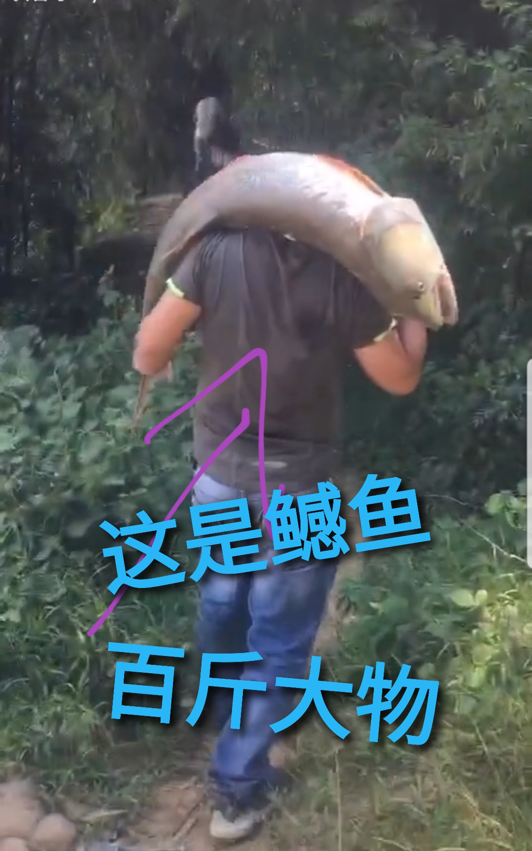 |人生第一快感钓到百斤大鱼