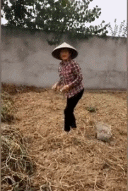 萌宠欢乐多 第一次见这样刷碗的，很是暴力！