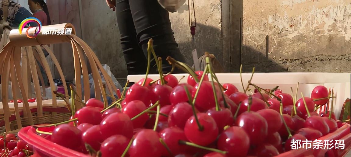 都市条形码 10元一公斤！樱桃大量上市，价格断崖式下跌