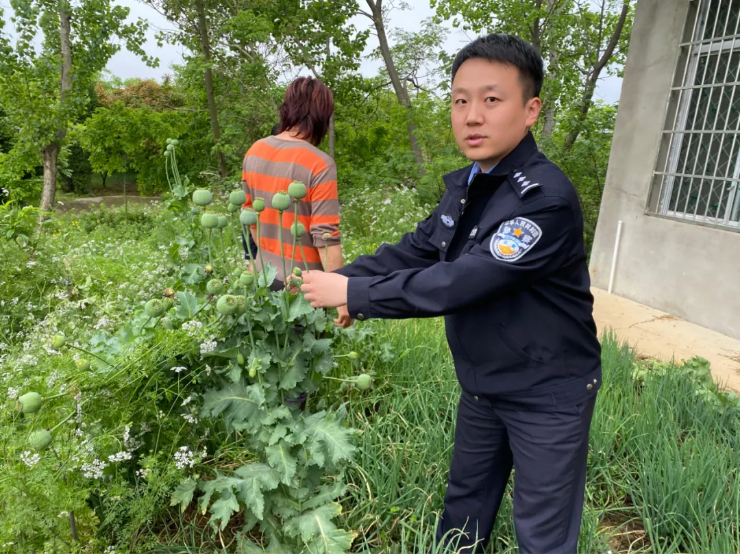 淅川影响力 淅川厚坡“空警”起飞！严查农村种植这个，一查一个准！