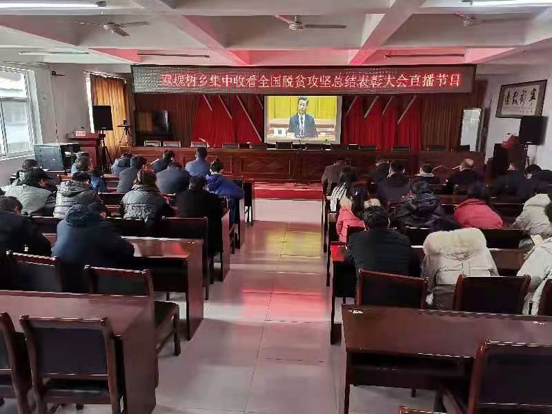 星耀见闻 卢氏县双槐树乡：收看全国脱贫攻坚总结表彰大会情况
