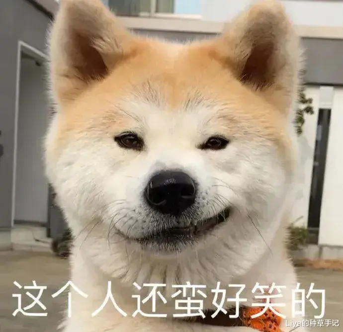 Liya的种草手记|4个技巧，让你的朋友圈被赞到明年