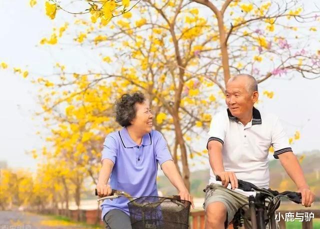 小鹿与驴|65岁大爷再婚半个月就离婚,大爷:她太算计,56岁女士:他不要脸