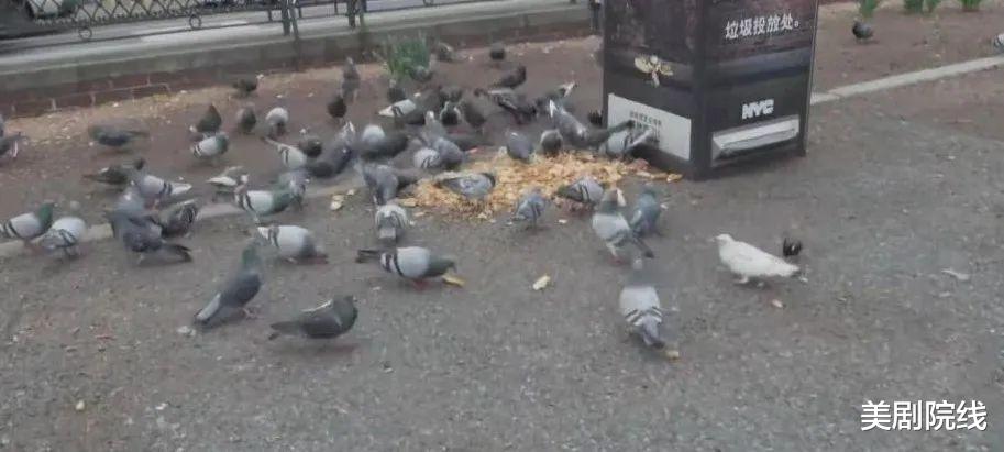 hbo|HBO再出骚操作,废话连篇的“屎尿屁”又封神了