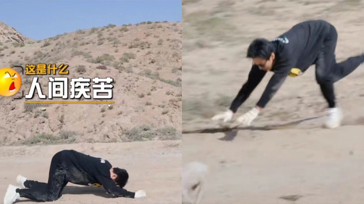 邓超|邓超直言再也不录综艺节目了？轻松抓鸡遍地追，狼狈撵猪满地跑