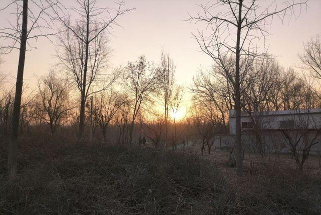 动力|“下元九紫星，老农往南行”，啥意思？下元九运到了，有啥特点？