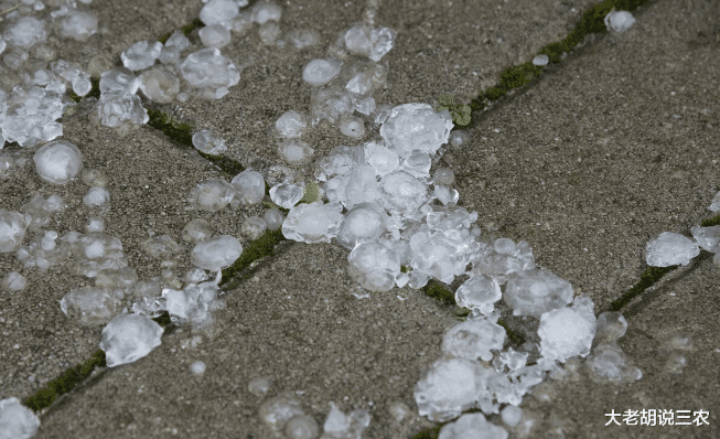 大老胡说三农 匪夷所思：下冰雹时，有些老农为啥要向院子里扔菜刀？