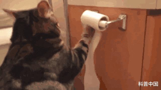 肝硬化|为什么天一冷就尿频？是因为不出汗？多年的疑问终于解开了