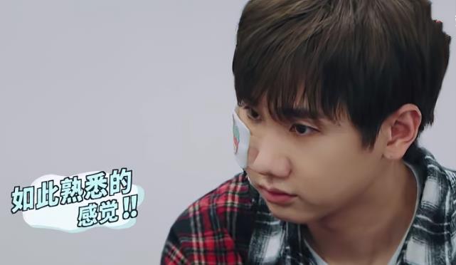 张翰|张翰保全郑爽最后颜面，闭口不提成名作，被宋丹丹指责人品有问题