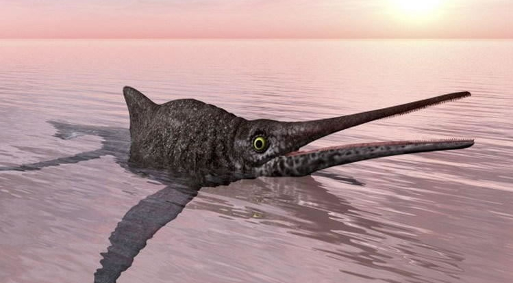 爬行动物|鱼龙：中生代早期的类海豚海洋爬行动物