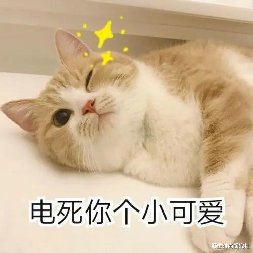 面霜 30岁的女人适合什么面霜？这4款保湿又抗老的国货面霜，不输大牌