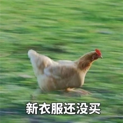 表情包|表情包：作业还没写完表情包可爱一套