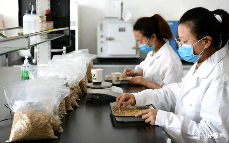 招聘|又一个国企公开招聘，六险二金是标配，大专生满足条件也可报考