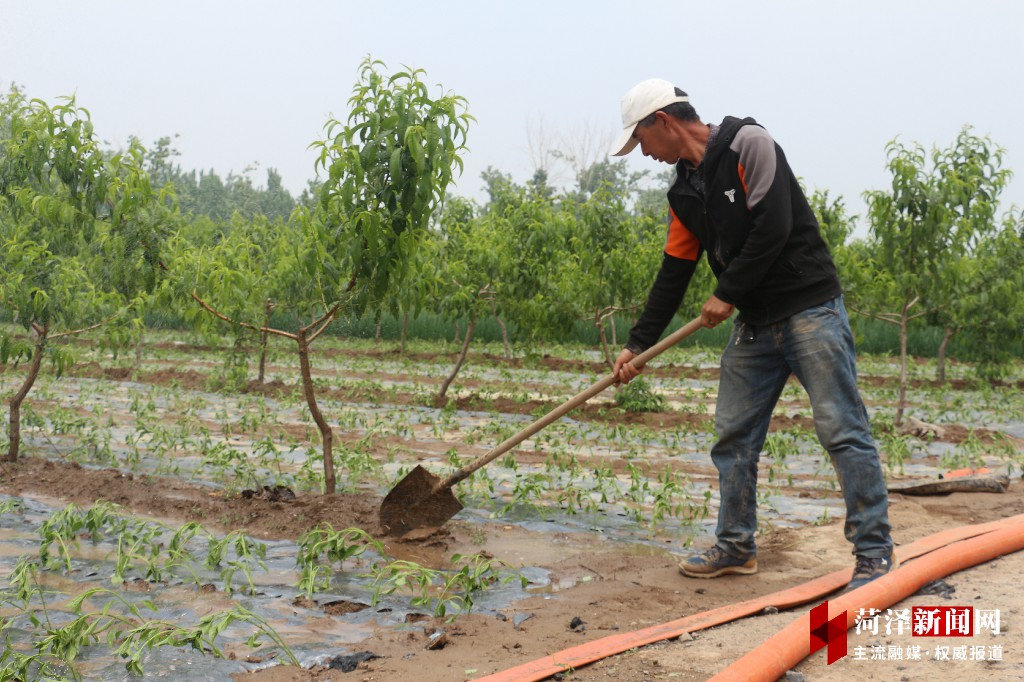 牡丹晚报 郓城县: 平乱治稳强发展，村庄蝶变展新颜