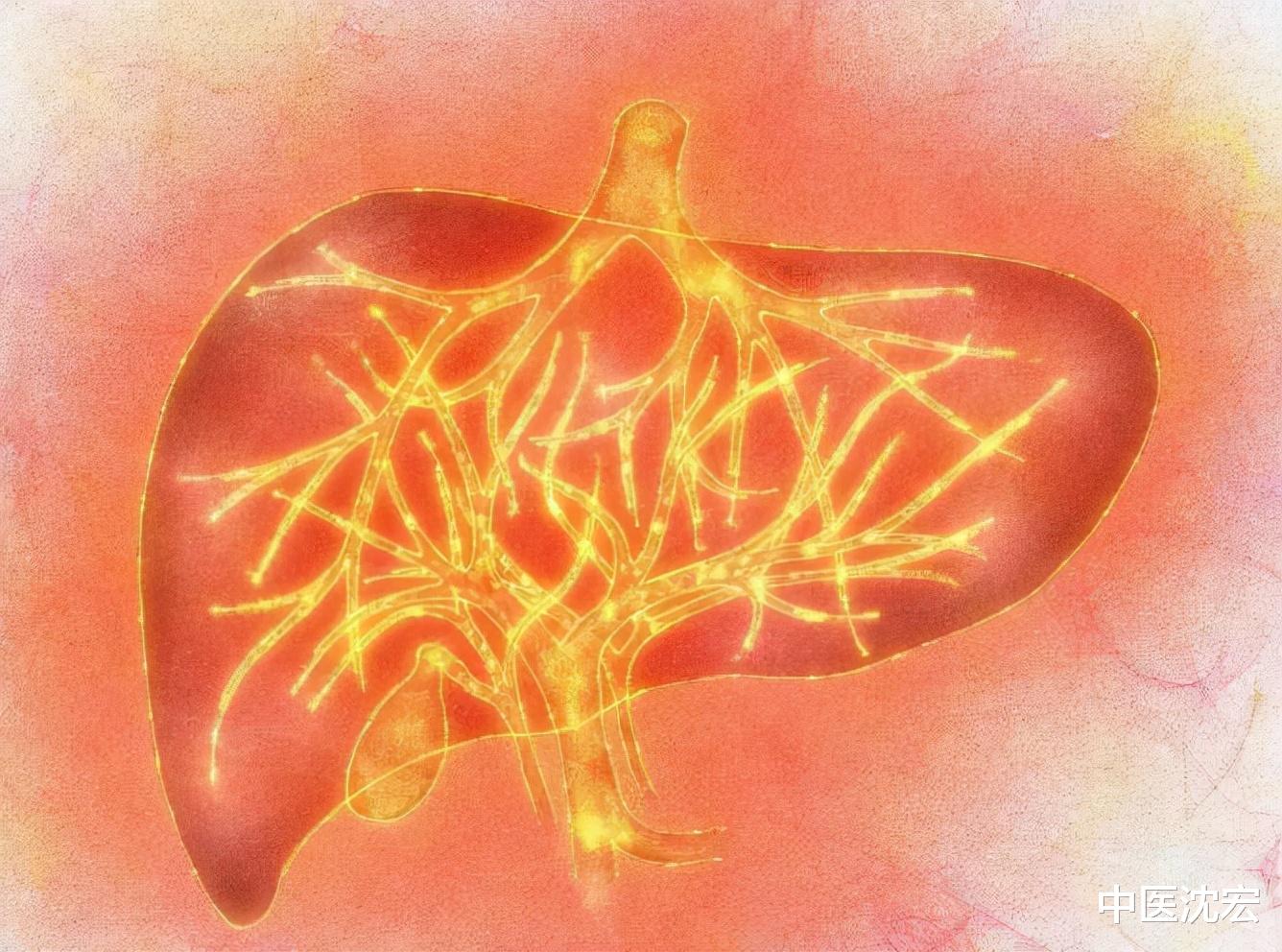 中药|小便黄，口气差，脾虚肝火旺！只需1味中药，补血养阴 帮你改善