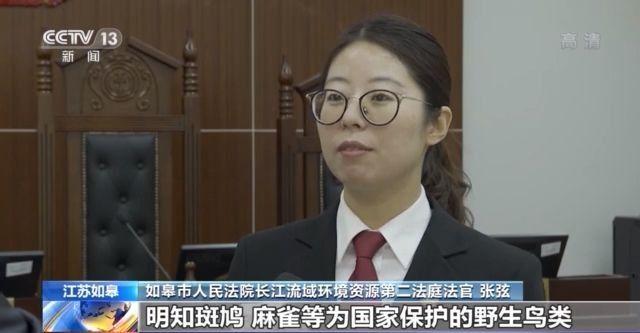 生活报 明知故犯!“猎鸟”3500余只,14人获刑赔偿百万