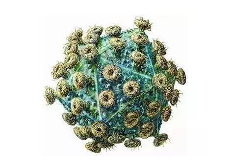 同基声|定了，HIV/艾滋病患者，优先接种新冠疫苗！