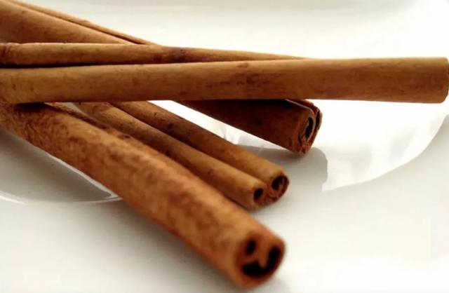 肉桂|胡博士说中药｜巧用肉桂治西施，聊聊肉桂的来源和作用